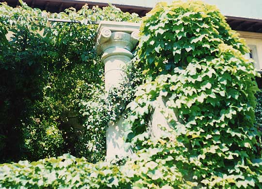 Colonna
